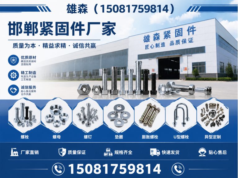 曲周县高强度螺母展示图